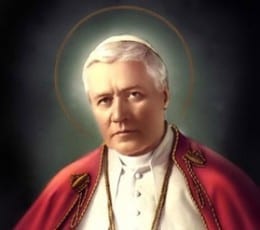 Papa São Pio X, Testemunhas do Sagrado Coração de Jesus